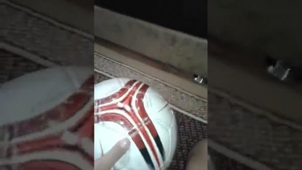 LARSEN RAY футбольный мяч