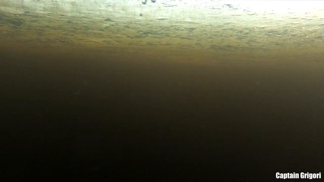 рыбалка зимой плотва чебак и сорога, fishing in winter roach and roach смотреть онлайн