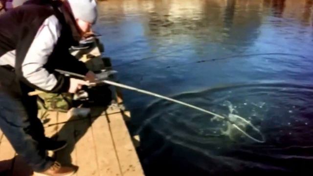 Рыбалка в Савельево 11 04 2015 смотреть онлайн