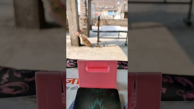 ❤️Live Tarot?Pick A Card?10M Tarot |Tarot Card Reading?? смотреть онлайн