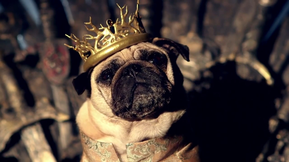 Мопсы Вестероса смотреть онлайн