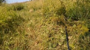 Как подать воду на большое расстояние. Подача воды на 200 метров в горку.