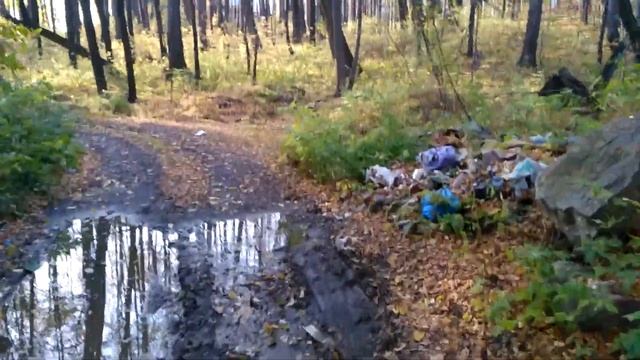 Кристально чистая вода. Подводные съемки. Осень. смотреть онлайн
