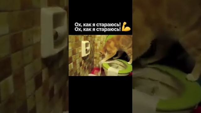 Тот случай, когда психологи говорят, что тебе нужно прорабатываться минимум несколько лет смотреть онлайн