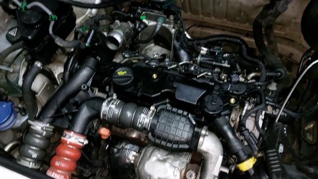 PEUGEOT PARTNER HDI LARGA HUMO NEGRO. смотреть онлайн