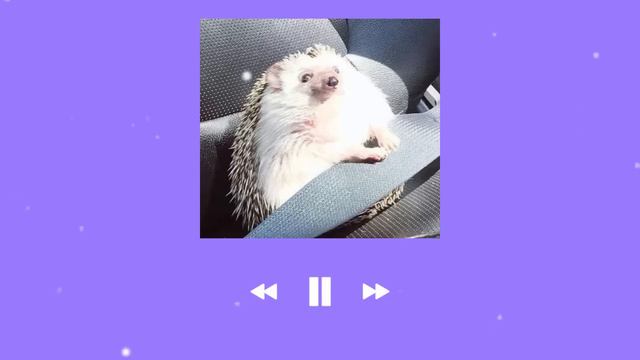 ♡ Песни для уборки ♡ для танцев ♡ для кайфа ♡ Speed Up ♡