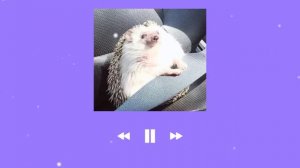 ♡ Песни для уборки ♡ для танцев ♡ для кайфа ♡ Speed up ♡