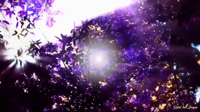 Ralf Reber / 2019 смотреть онлайн