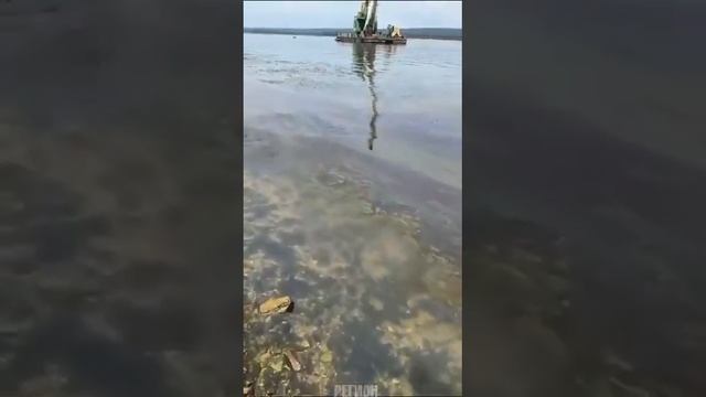 В Самарской области у села Зольное Волга окрасилась в фиолетовый цвет смотреть онлайн