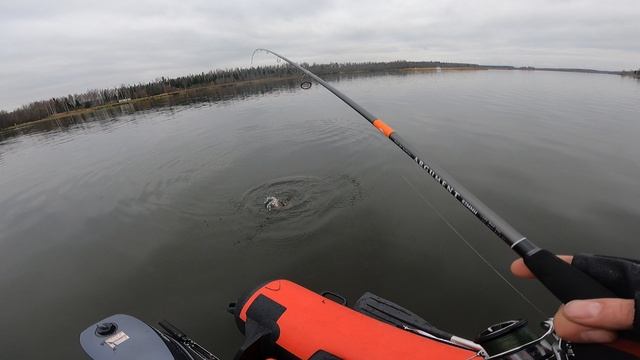 Подсак.........