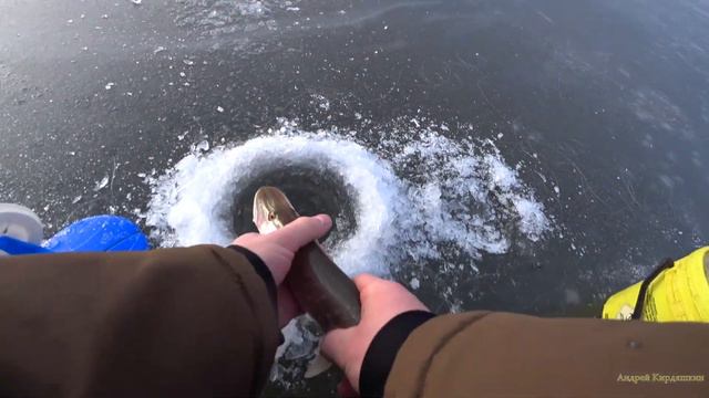 Трофейная щука !!! смотреть онлайн