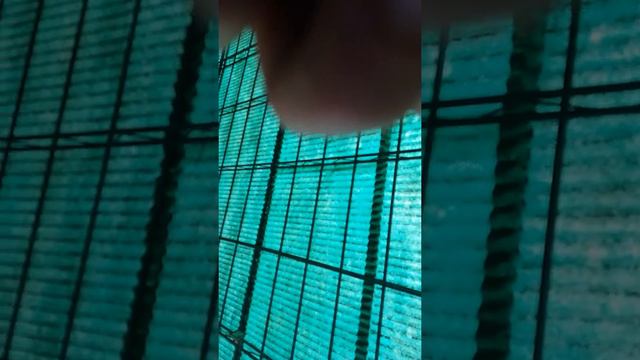 Пытаемся делать радугу в футболе смотреть онлайн