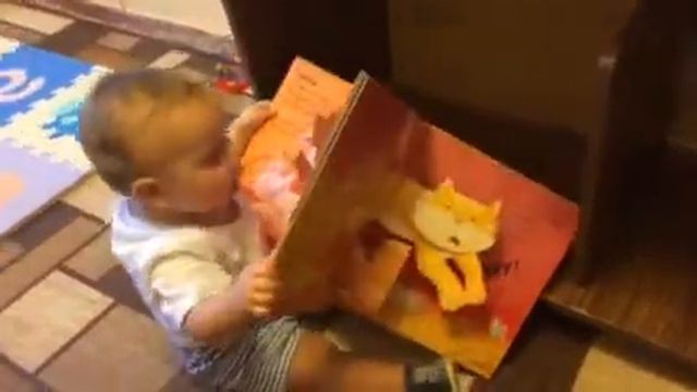 Книжка 3д с животными смотреть онлайн