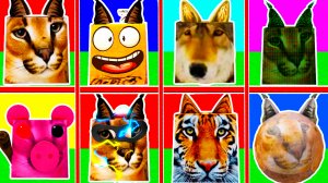 КАК НАЙТИ 87 МОРФОВ ЭВОЛЮЦИЙ Жизни ШЛЁПЫ В РОБЛОКС! НУБ и ПРО ВИДЕО ROBLOX Find The Floppa