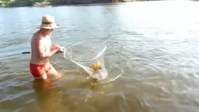 САЗАН ЗА 10 КГ река Роговая смотреть онлайн