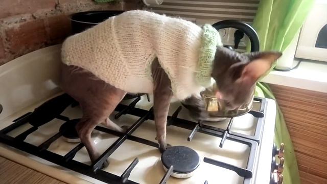 Клёпа замёрзла смотреть онлайн