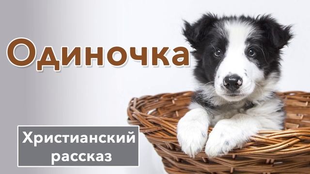 ? Одиночка - ИНТЕРЕСНЫЙ ХРИСТИАНСКИЙ РАССКАЗ | Христианские рассказы смотреть онлайн