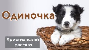 ? Одиночка - ИНТЕРЕСНЫЙ ХРИСТИАНСКИЙ РАССКАЗ | Христианские рассказы