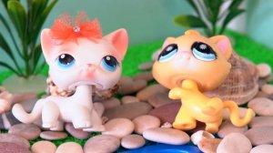 LPS САМОЛЁТ последние минуты жизни / littlest pet shop