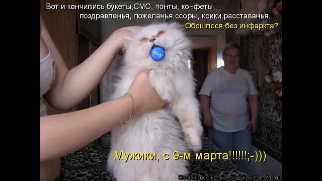 Смешные приколы на 8 марта смотреть онлайн