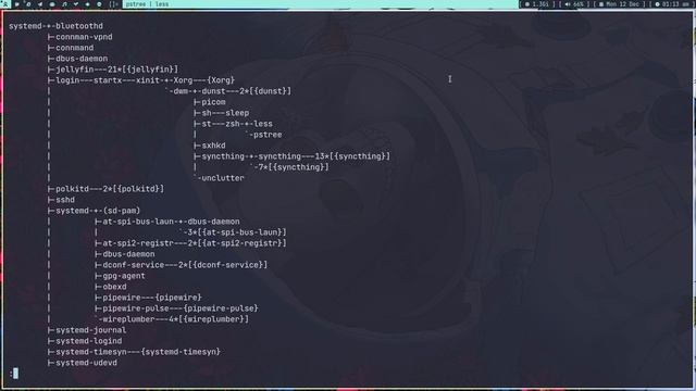 Linux Process tree and Detaching Process смотреть онлайн