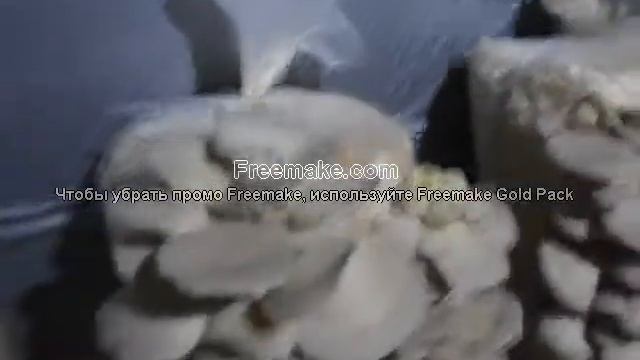 купил как штам к 17 смотреть онлайн