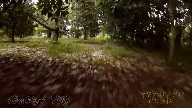 H250 Mini FPV Sport Quad 004 V.ลุยสวน смотреть онлайн