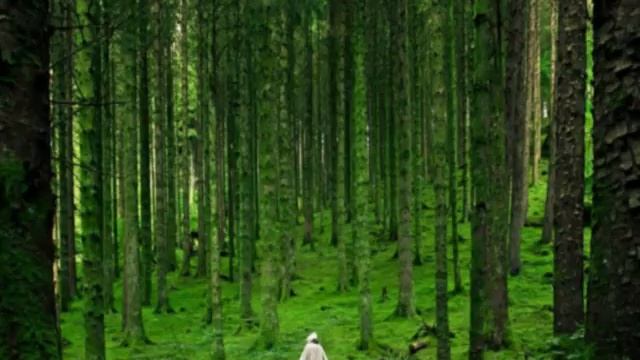 24. Тепловой режим поверхности Земли. смотреть онлайн