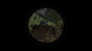 Минометные расчеты и бонусный тайник в Темной Лощине. ОП-2.1.