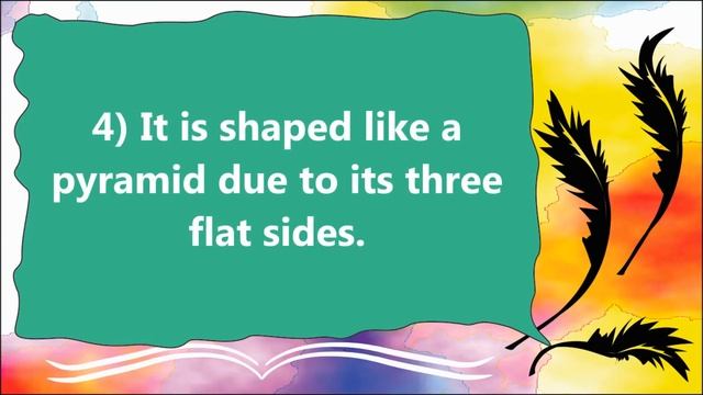 10 Lines on Mount Everest in English смотреть онлайн