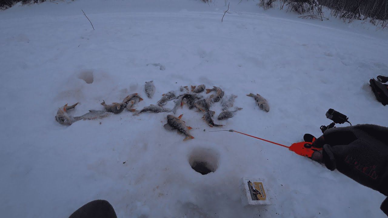 В ЭТОМ МЕСТЕ ВСЕГДА КРУПНЫЙ ОКУНЬ ЛОВИТСЯ.ЗИМНЯЯ РЫБАЛКА 2022. смотреть онлайн