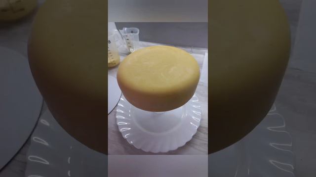 Еще одно мое новое направление💔 Муссовые торты. смотреть онлайн