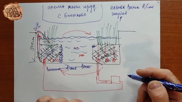 Мини пруд с биоплато своими руками//Прудовая чертилка №3 смотреть онлайн