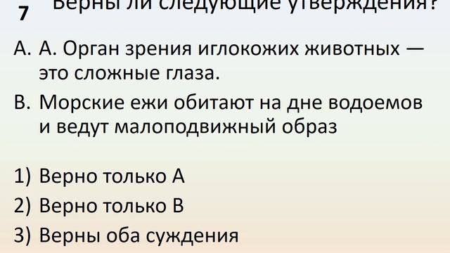 Б7 22 Тип Иглокожие смотреть онлайн
