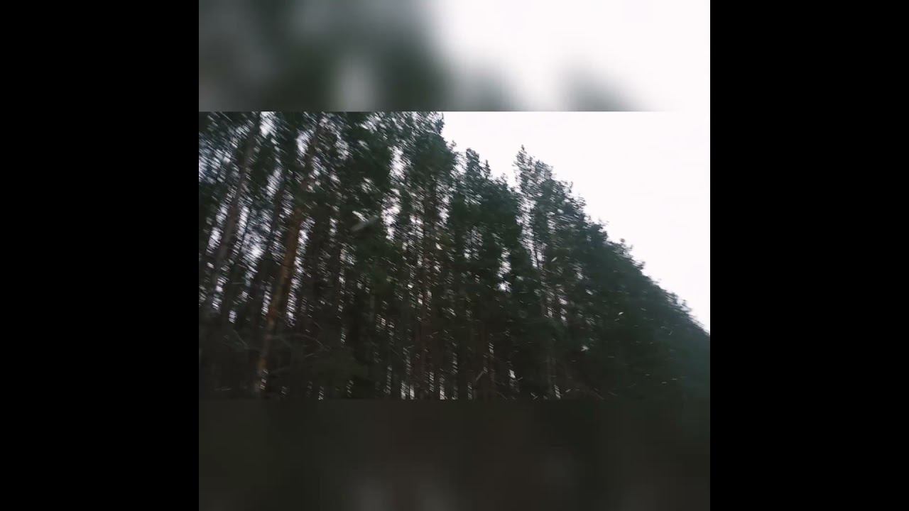 28 марта 2021 г.