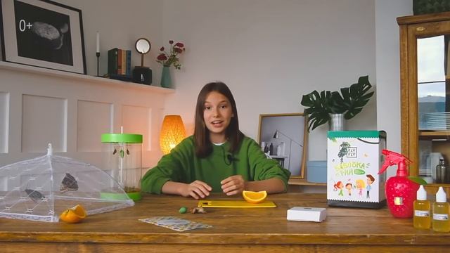 Домашняя ферма бабочек в 