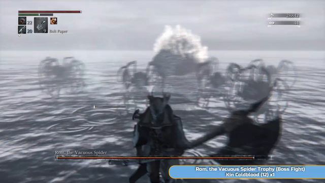 Bloodborne Full Platinum Walkthrough - 09 - Byrgenwerth смотреть онлайн