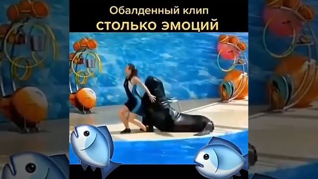 Как прекрасен этот мир 🙏 смотреть онлайн