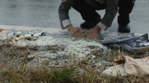 СЕМЕЙКА НА ВЫЖИВАНИИ (Япония, 2016)