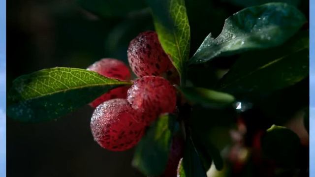 Как прекрасно все то что Твое 1 смотреть онлайн