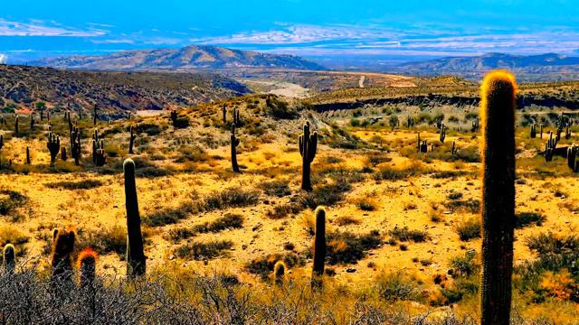 Роберт Адамс -175. Действительно ли мир является иллюзие, озвучивает Nikosho. смотреть онлайн