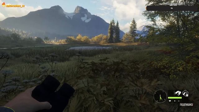 TheHunter: Call of the Wild. Идём охотиться на всё что движется) смотреть онлайн
