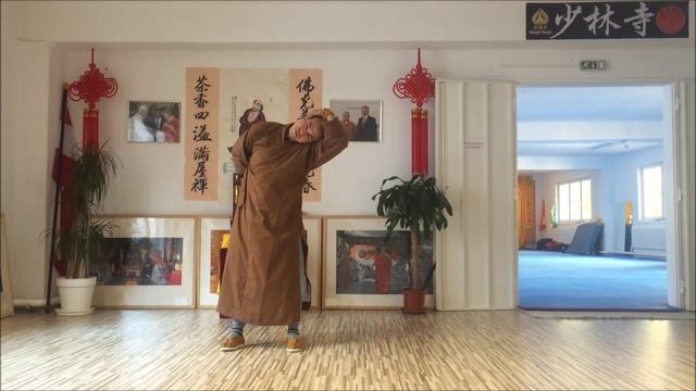 Shaolin Qigong Yijinjing / 少林易筋经气功