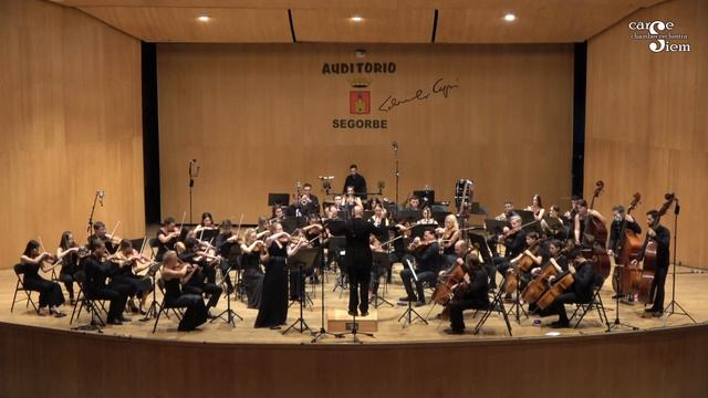 Violin Concerto in D Major op. 35.......Piotr Ilich Tchaikovsky смотреть онлайн