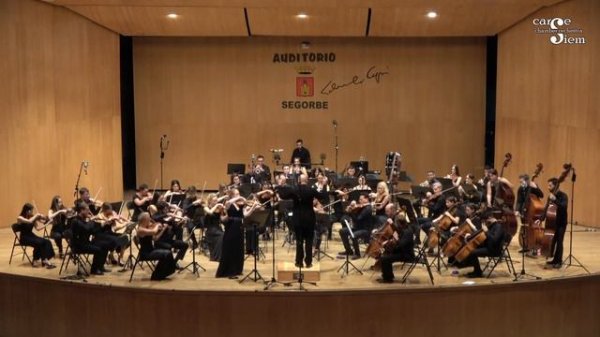 Violin Concerto in D Major op. 35.......Piotr Ilich Tchaikovsky