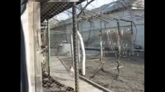 турник смотреть онлайн