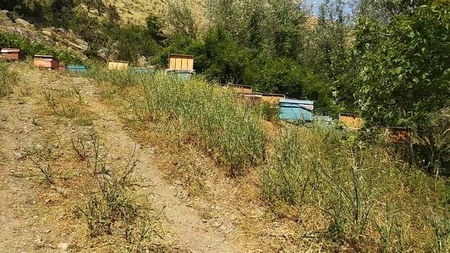 QASHQADARYO KITOB TUMANI QORASUV QISHLOG'I. HAZRATI BASHIR (BESHIR)