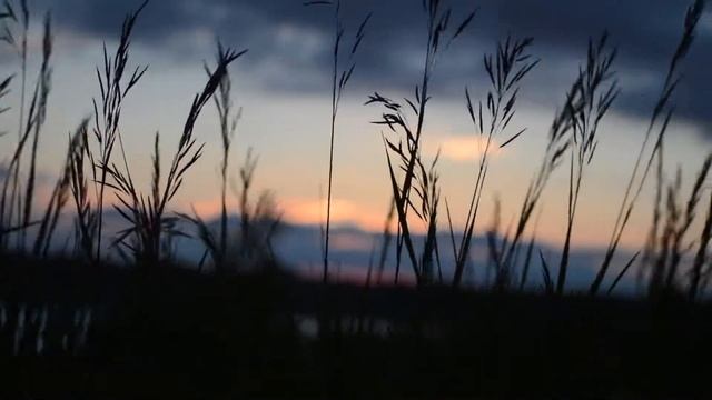 Это стихотворение поднимет вам настроение, поможет расслабиться и подумать. Стих 16 смотреть онлайн