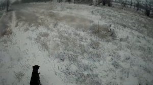 ОХОТА на ЗАЙЦА с ягдтерьером.  Добор ТЯЖЕЛОГО ПОДРАНКА. Первая ОХОТА ЗИМЫ 2020 ДВА РУСАКА ДОБЫЛ!!!!