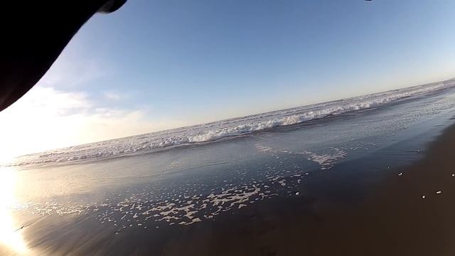 This BAIT ALWAYS WORK For Surf Perch Fishing!! смотреть онлайн